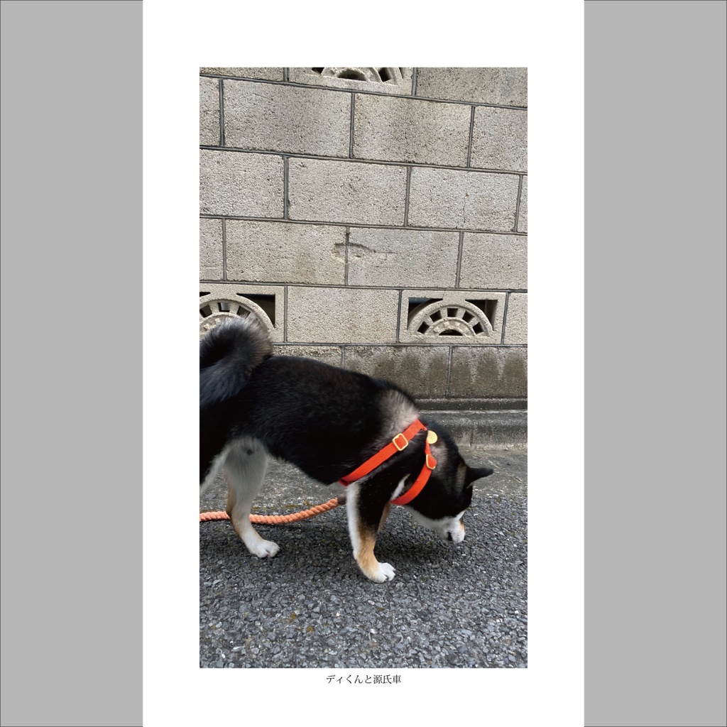 【電子版】君は透かしブロックを見たか