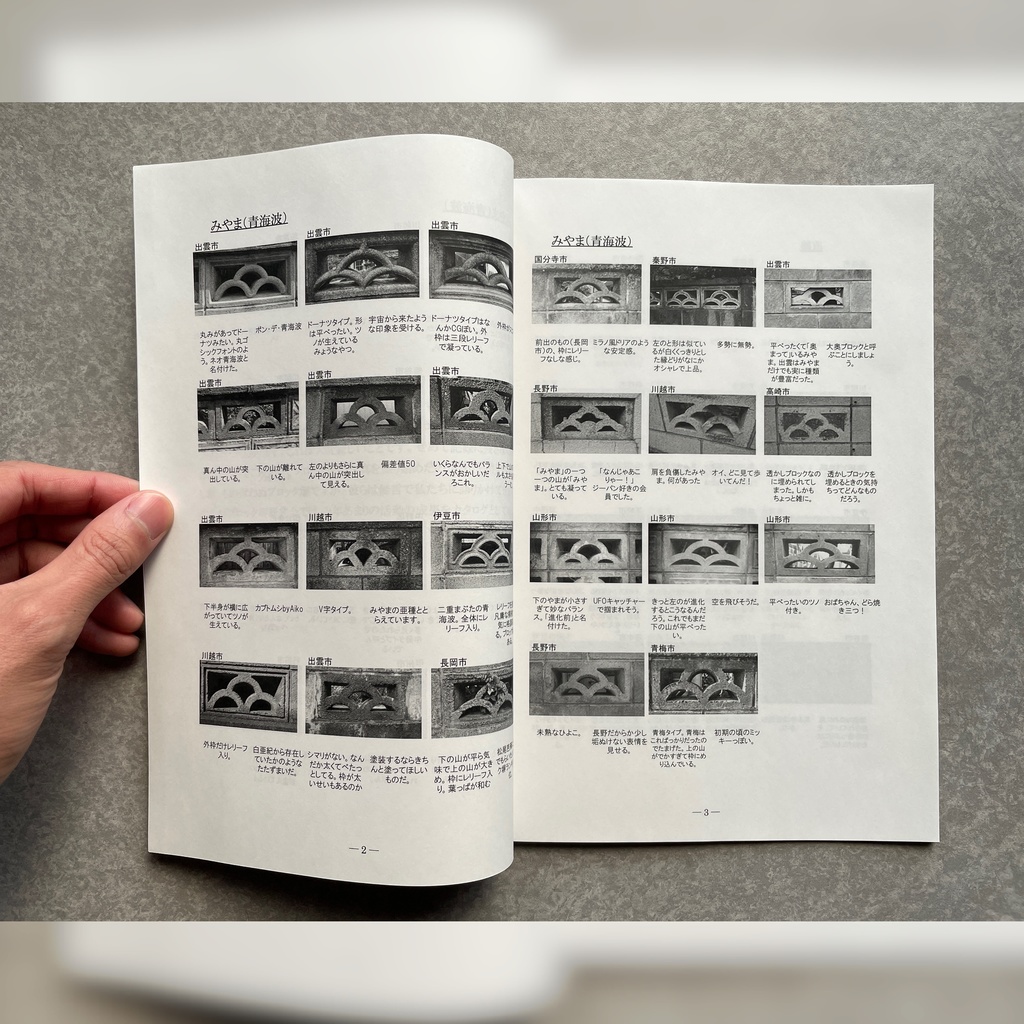 眩惑の透かしブロック