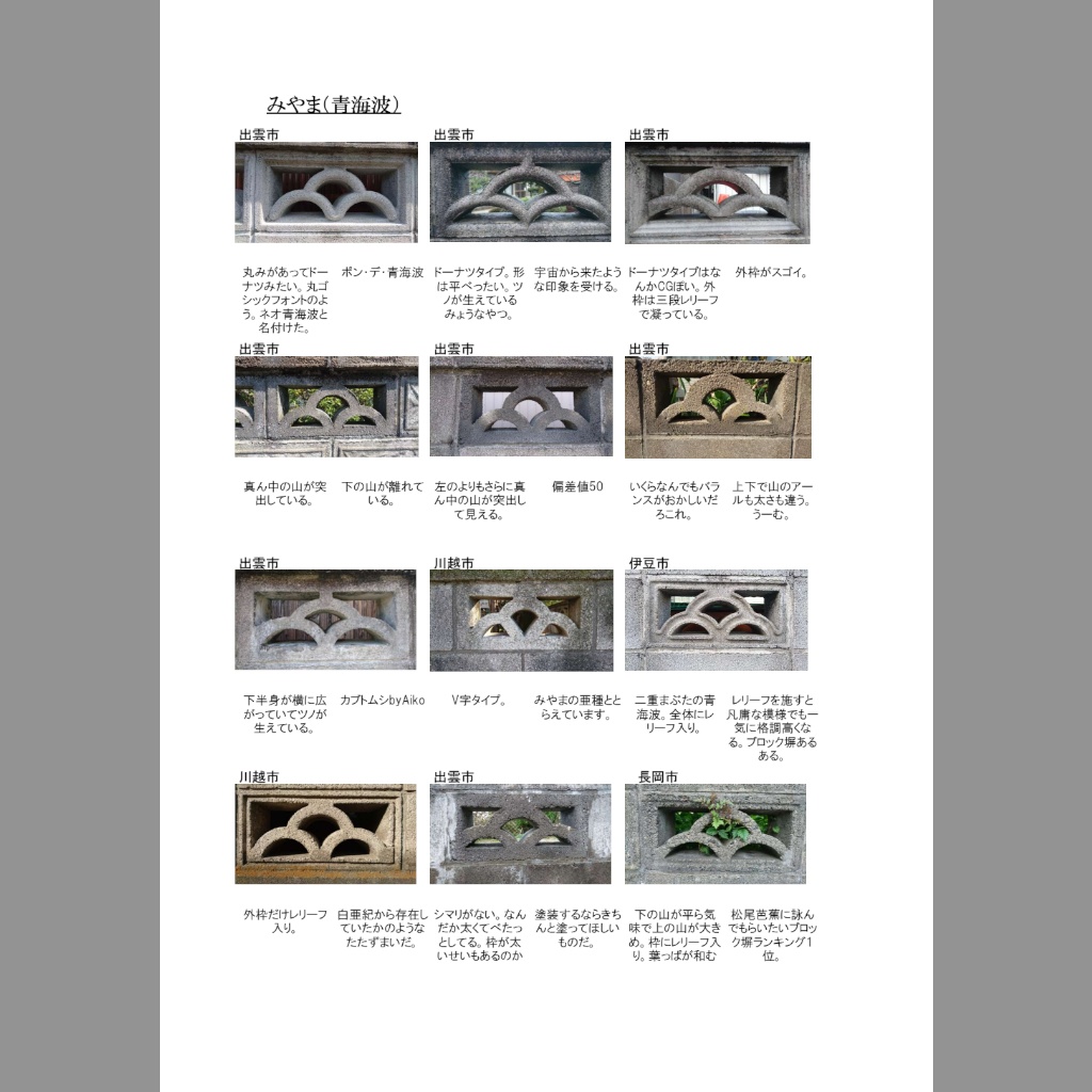 【電子版】眩惑の透かしブロック【フリー】