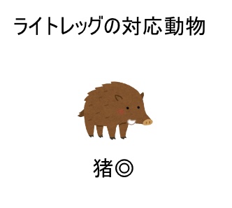 ボアハンター ライトレッグ