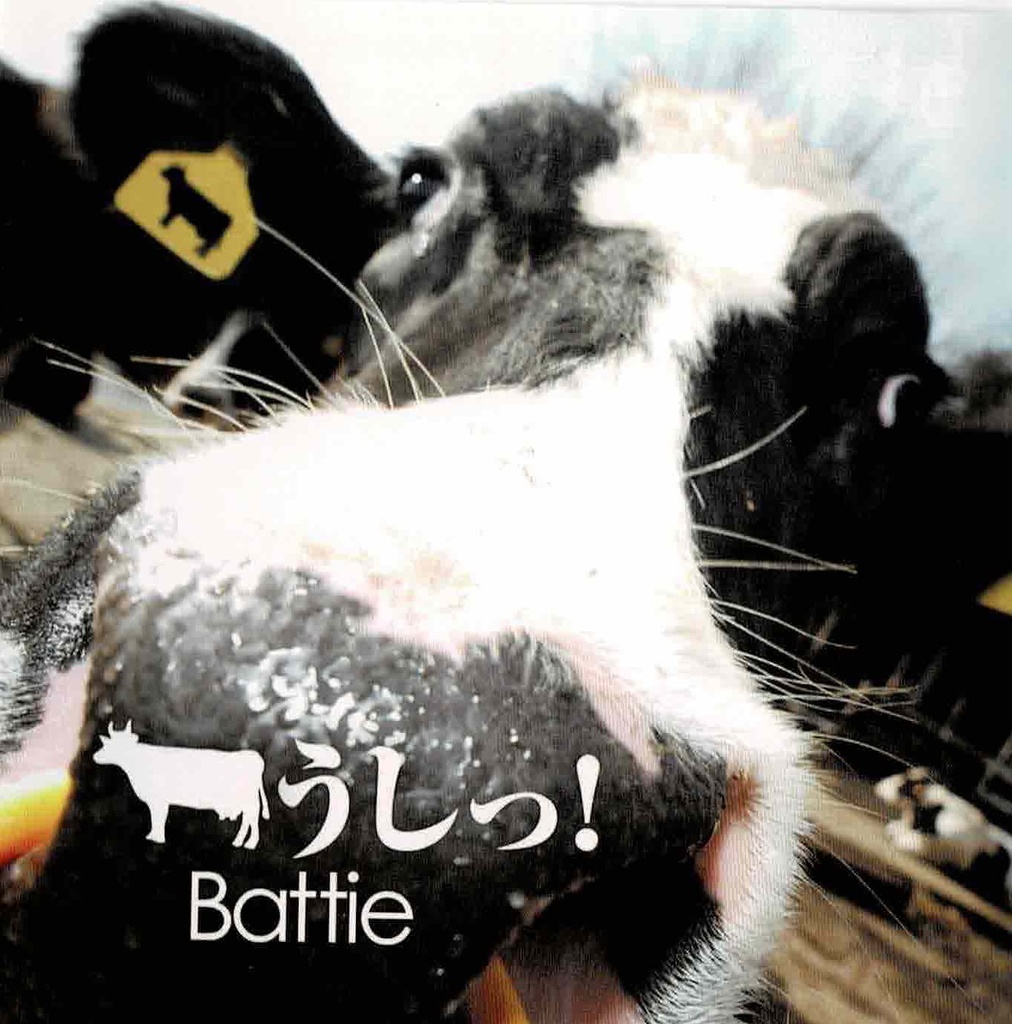 JK魂、雑炊編 & うし! CD版 2枚セット