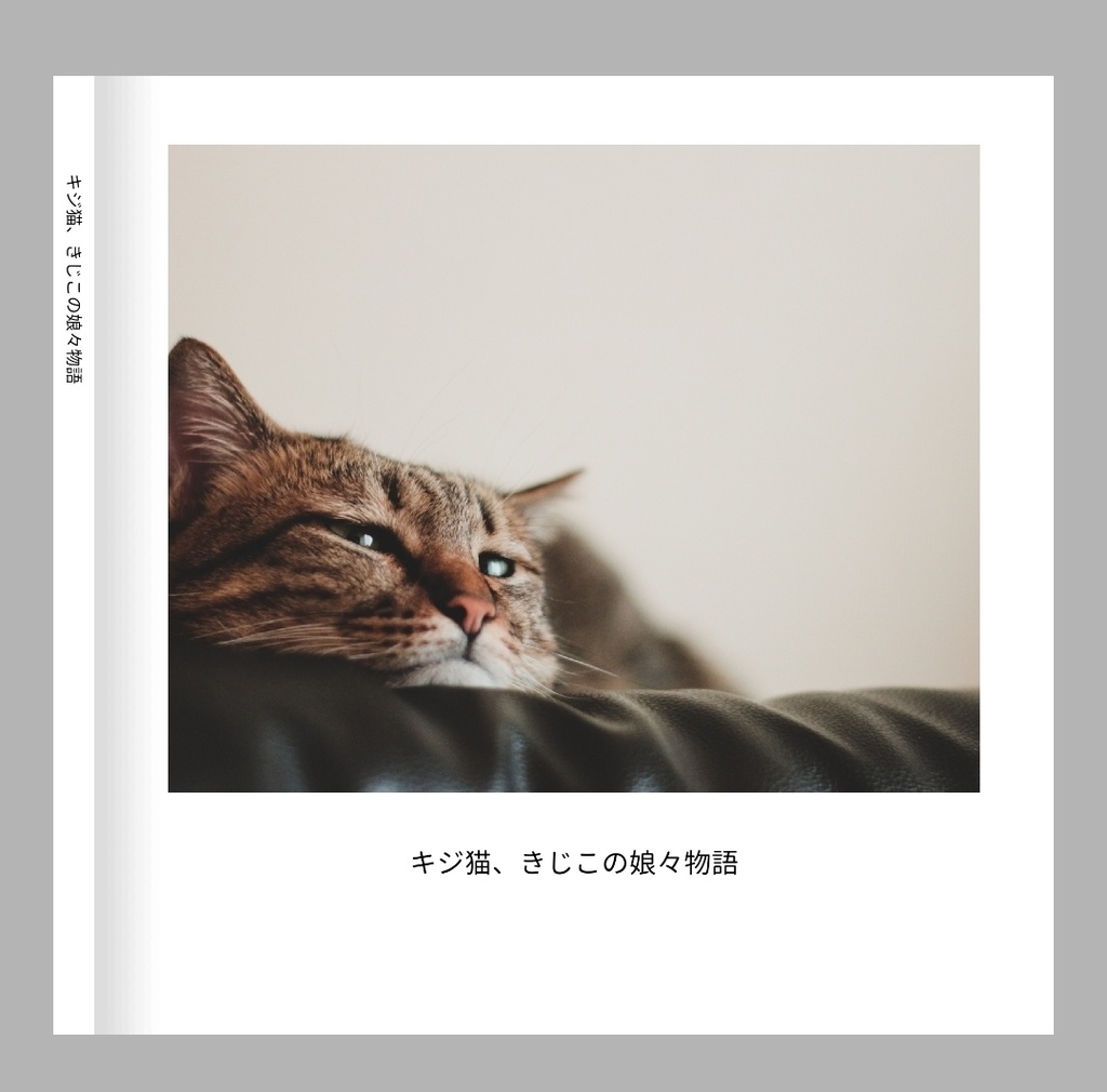 キジ猫、きじこの娘々物語