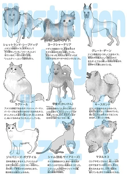 養蚕ってなんだ!? ゲームブック