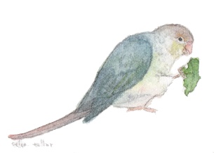 青菜を喰らうディノサウルス