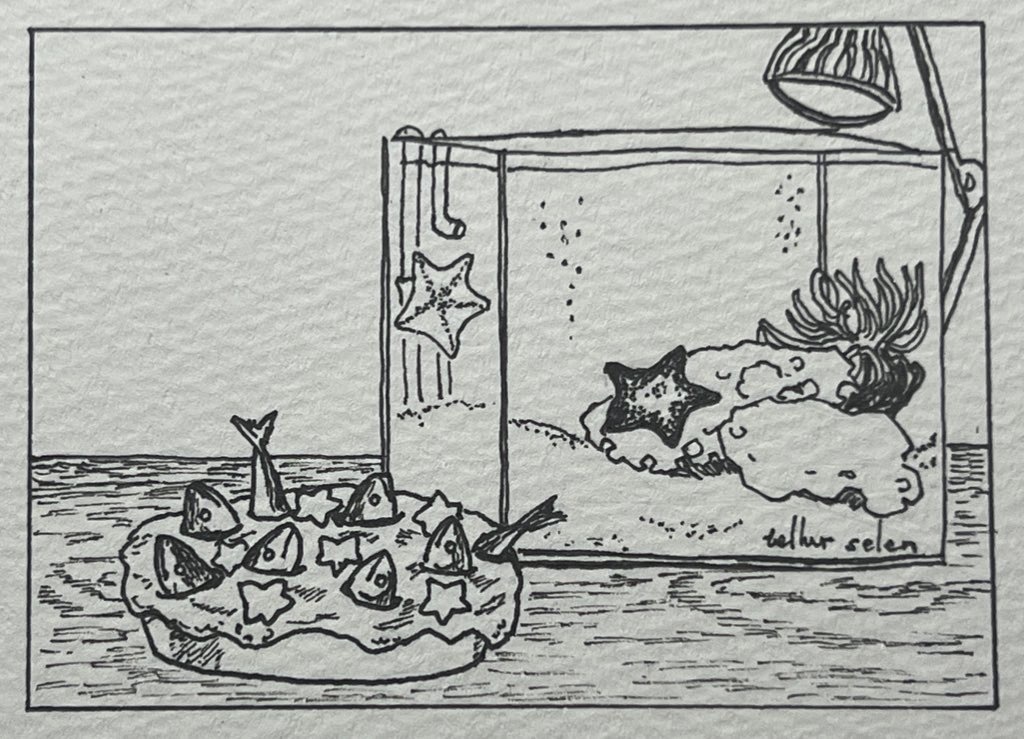 ペン画『Starfish』