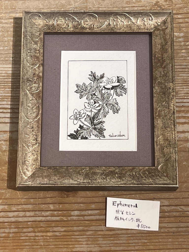 額装ペン画『Ephemeral』