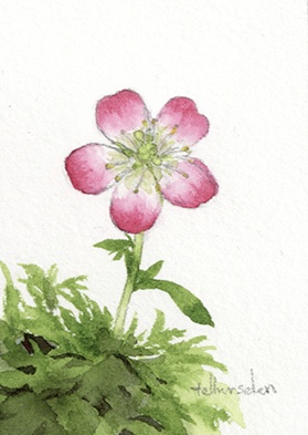 ミニ原画『雲の通い路』