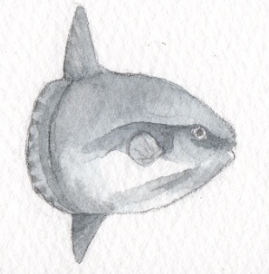 ミニ原画「Lune de mer」