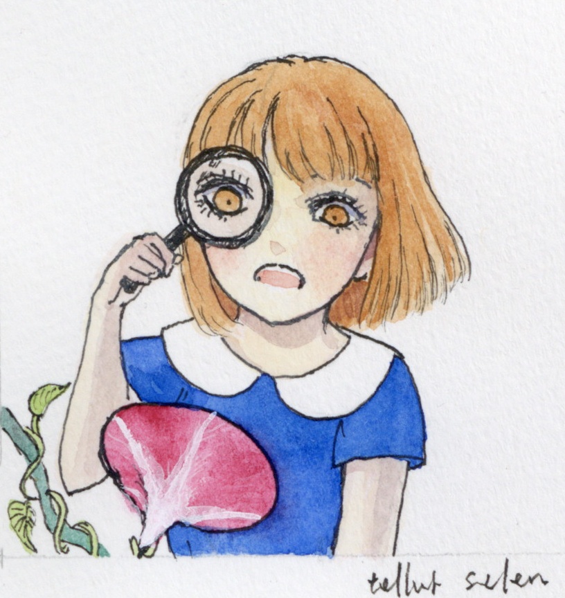 無額装小作品『薄荷ちゃんの夏の思い出　８．アサガオの観察』