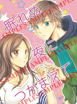 眠れぬ夜につかまえて