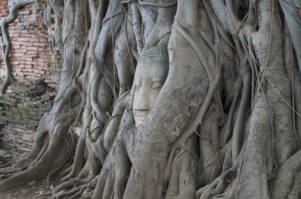 キューバ、メキシコ、ロシア、イギリス、フィリピン、ベトナム、タイ、香港・マカオ、台湾、韓国旅行画像まとめ