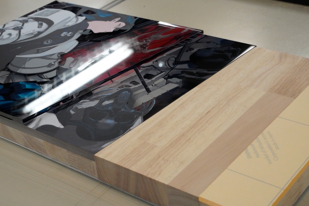 Elevation_oblivion(アクリル立体イラスト)