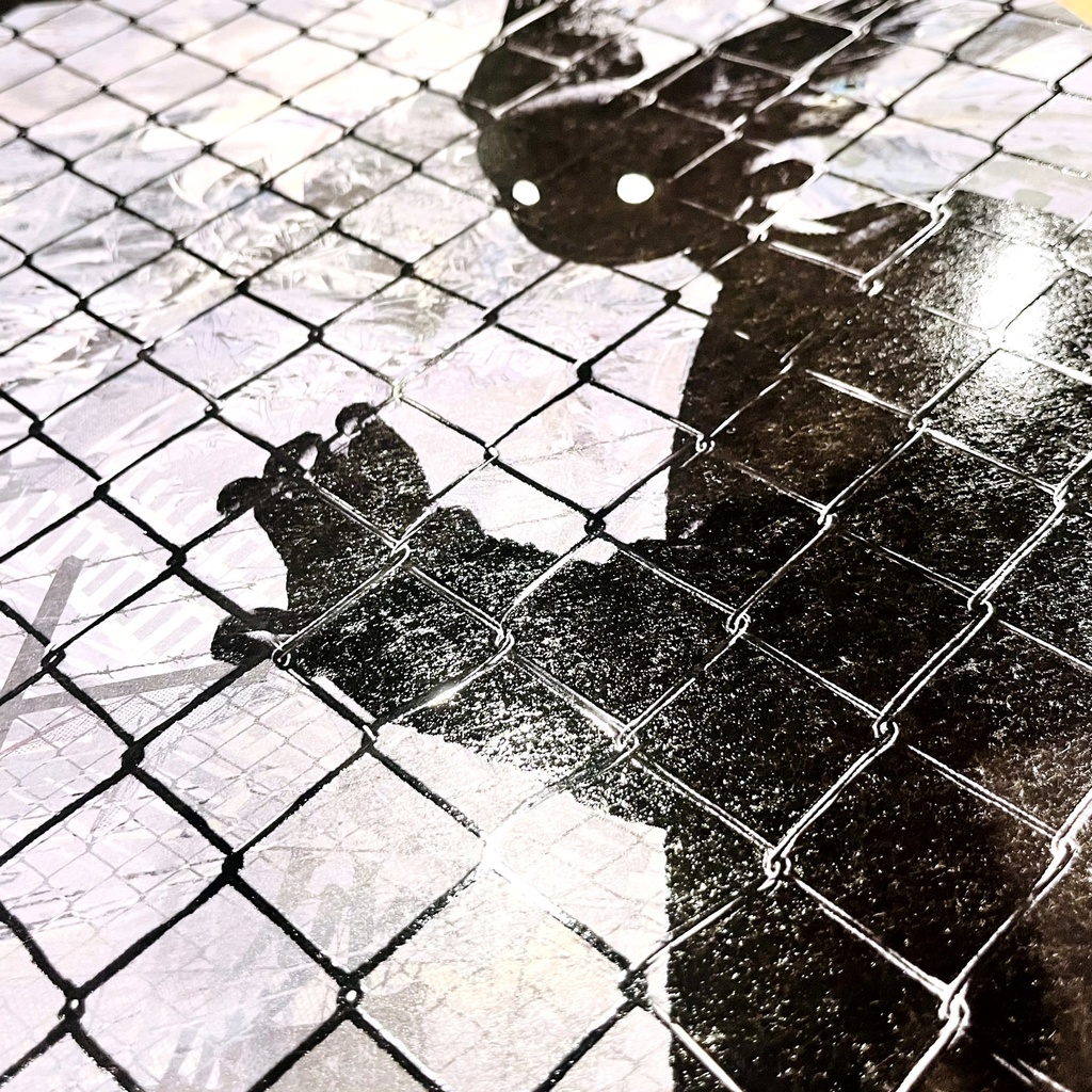 「顔素」 特殊印刷ポスター