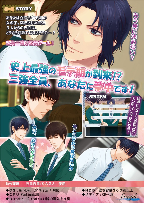 ドリームマッチ 立海三強乙女ゲーム【WindowsPC専用】