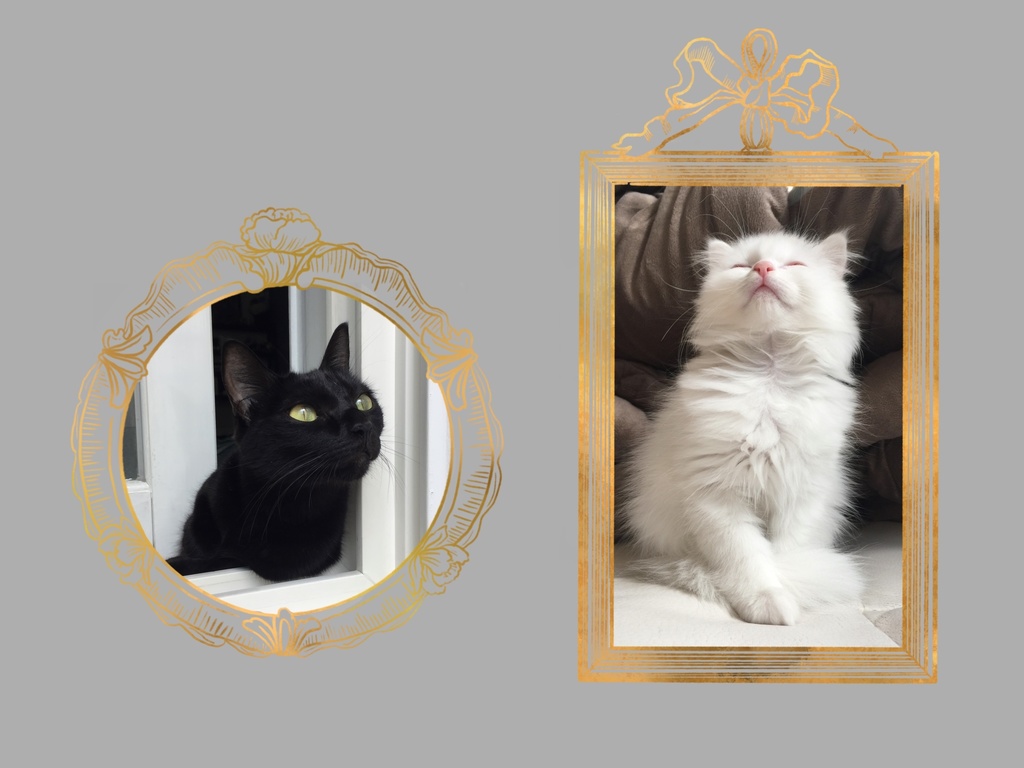 procreate用アンティークフレームスタンプブラシ