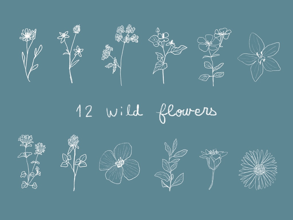 procreate用 野花スタンプブラシ