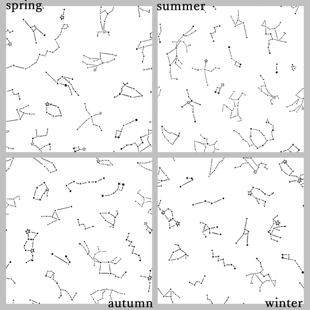 procreate用季節の星座パターンブラシセット