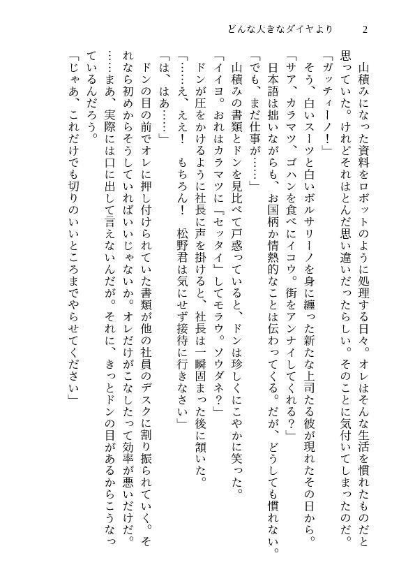 【無配】ドンヒラプチ応援冊子「どんな大きなダイヤより」