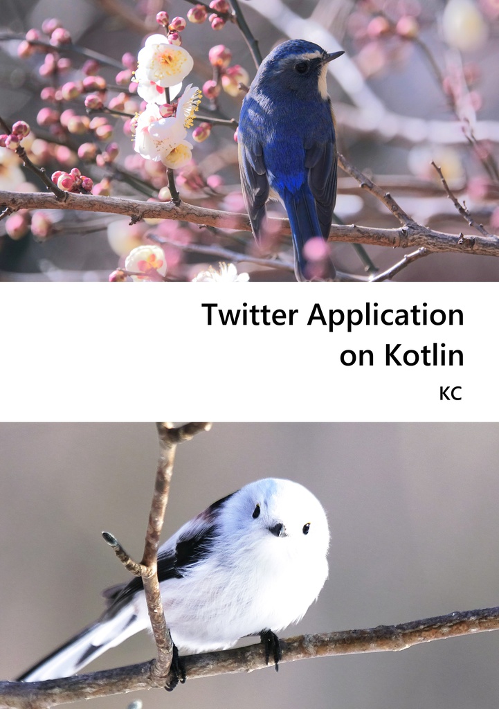 Twitter Application on Kotlin