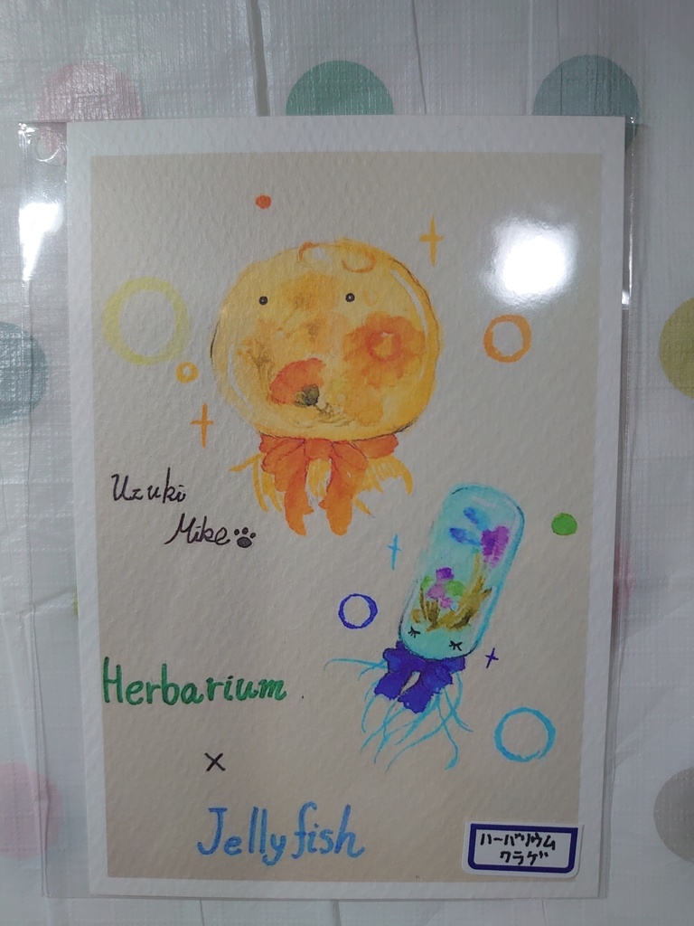 オリジナルポストカード