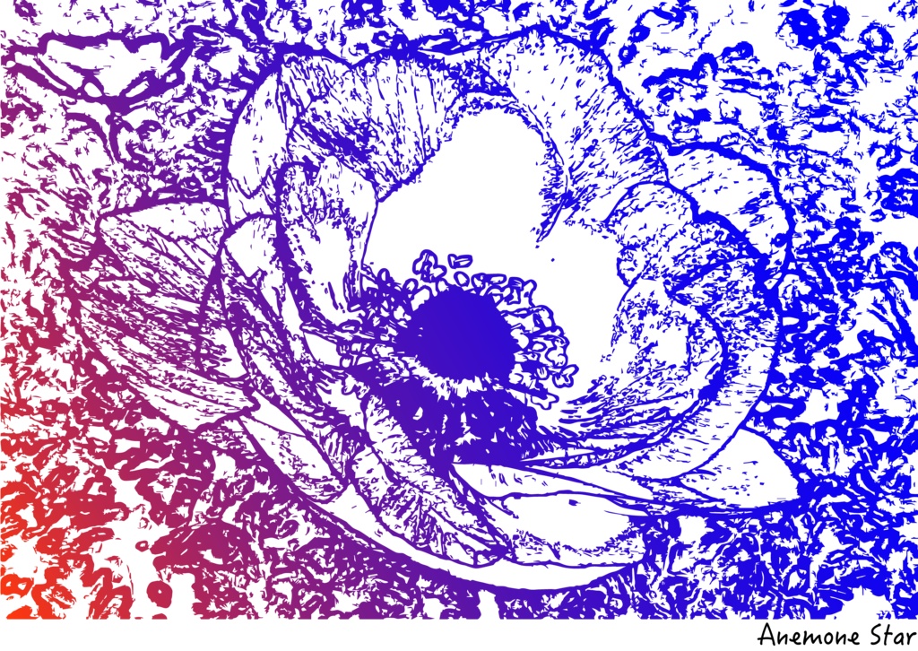 AnemoneStar Tシャツ