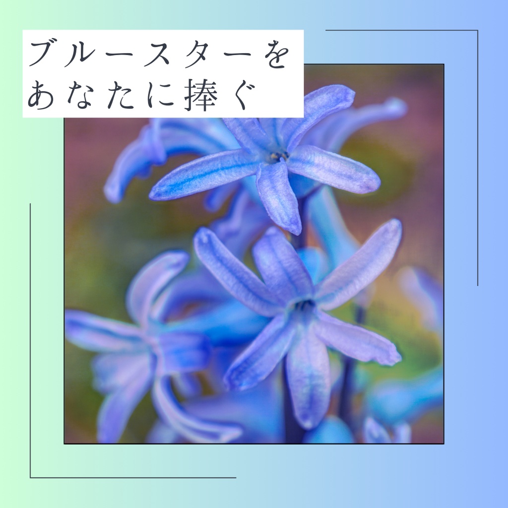 【フタリソウサ】ブルースターをあなたに捧ぐ【#フタリソウサ祭り】