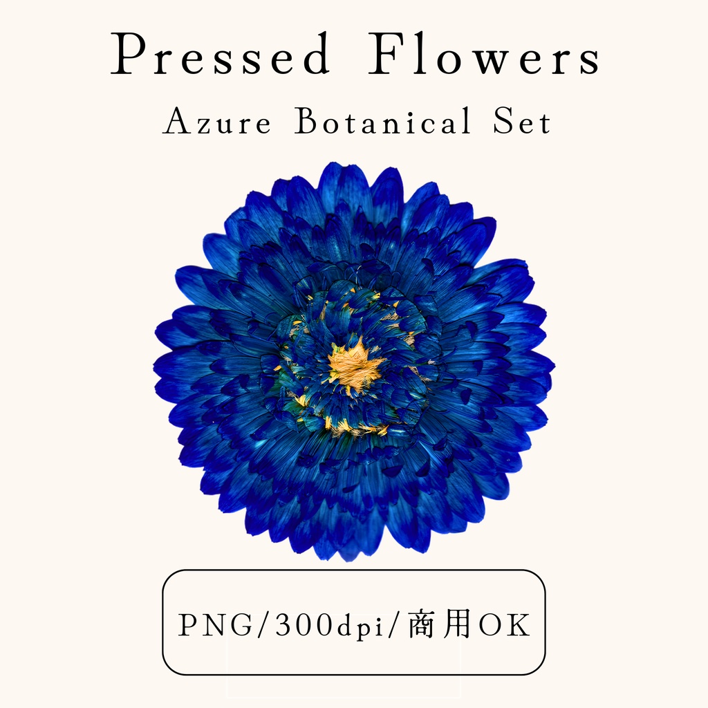 【透過素材】Azure Botanical Set/染色押し花PNG素材25点セット