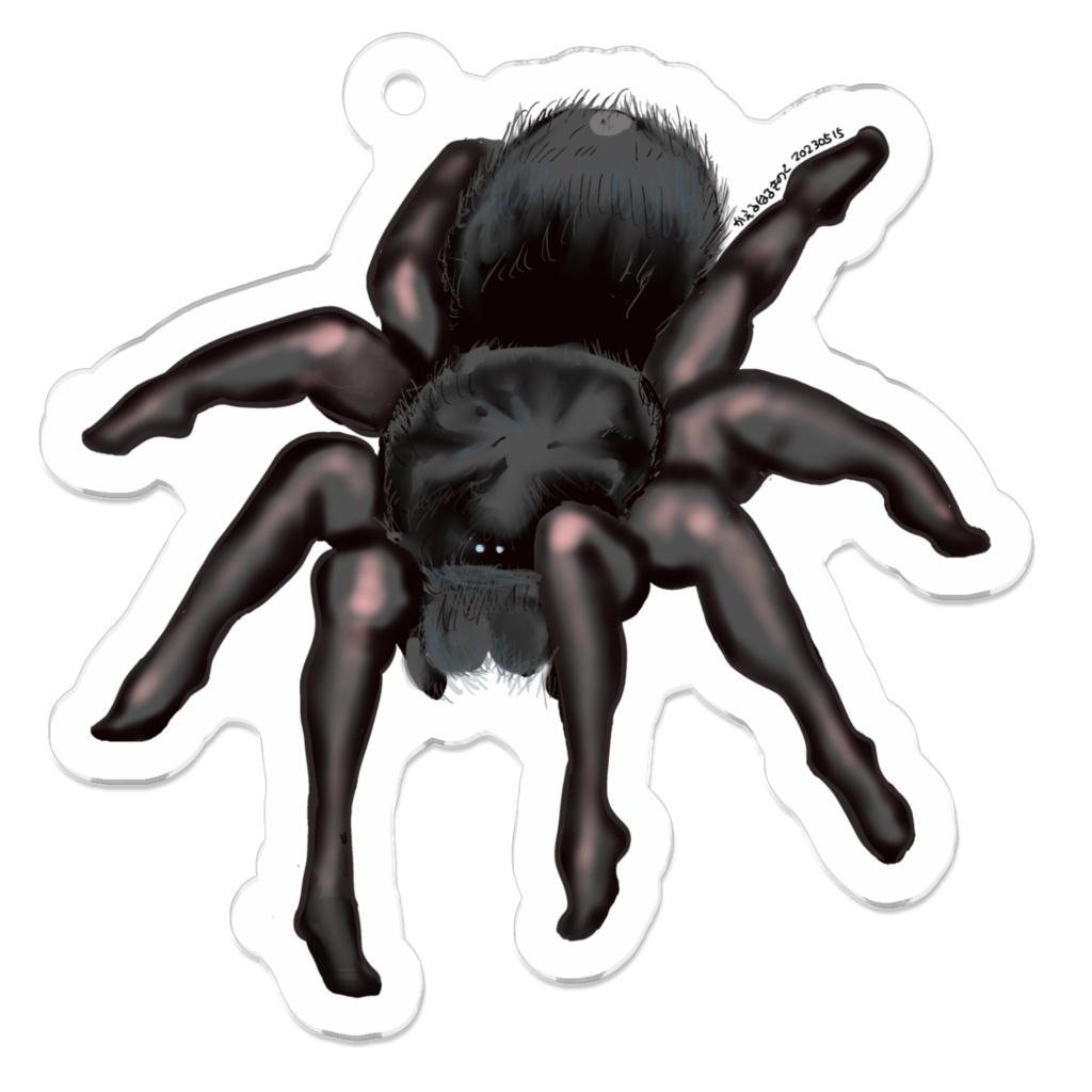 黒タイツタランチュラ