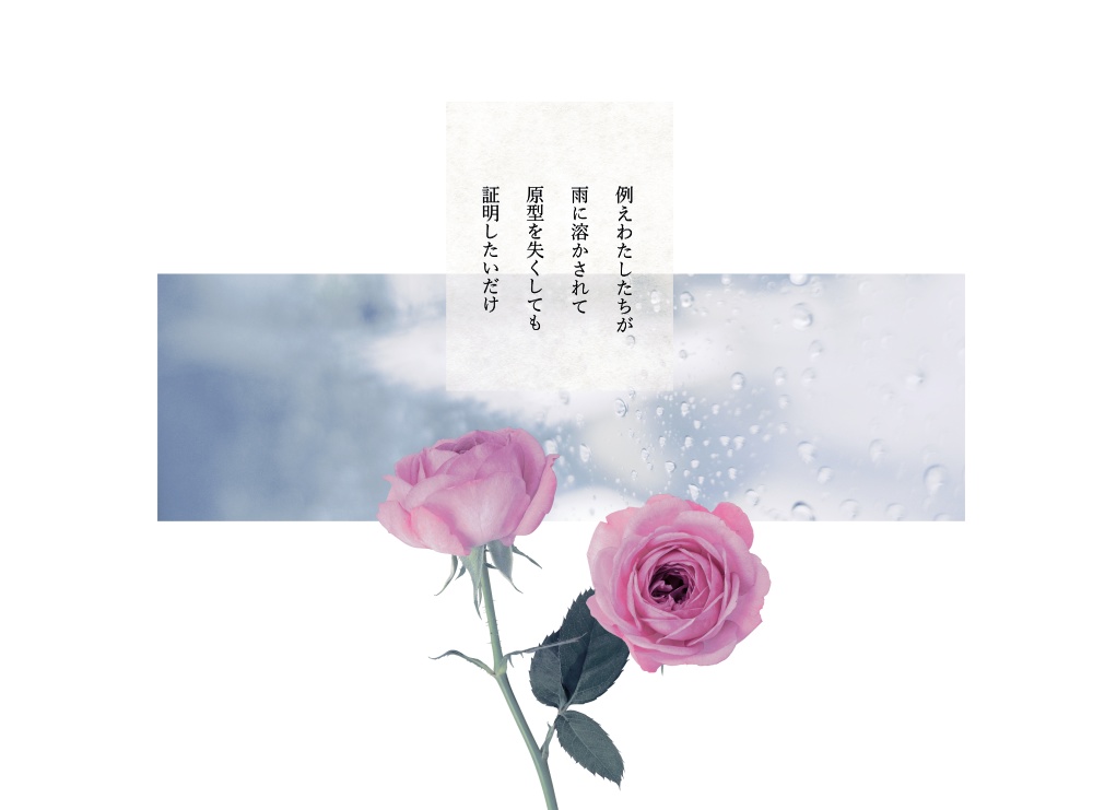 【無料有】cocシナリオ『花束の証明』