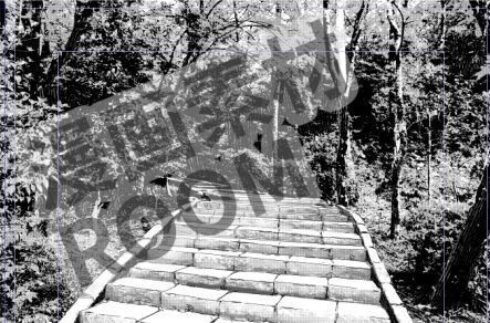 【商用利用可】漫画背景/森の小道