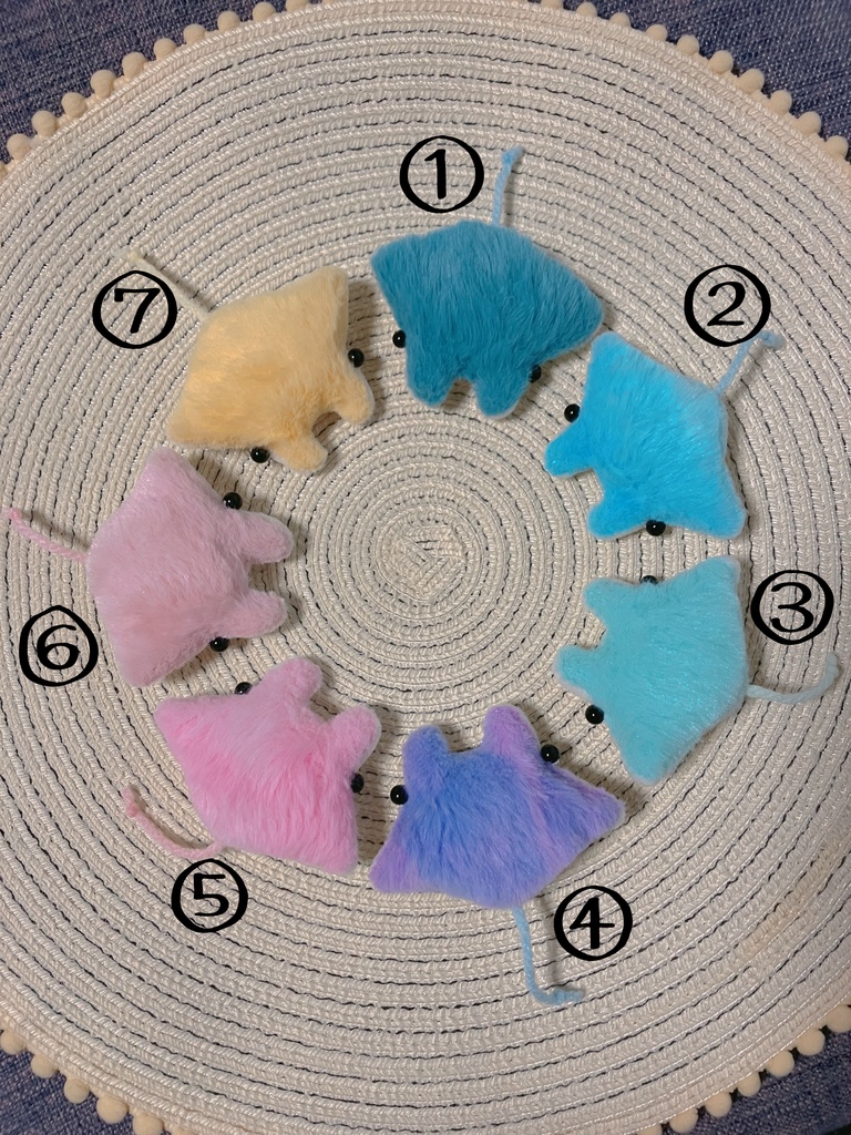 リトルベビーマンタ