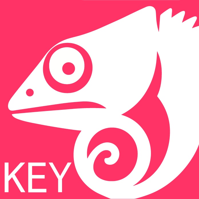 Stream Deckライクな画面付きマクロボタン | Chameleon Key HSBL-S100 ファームウェアのみ