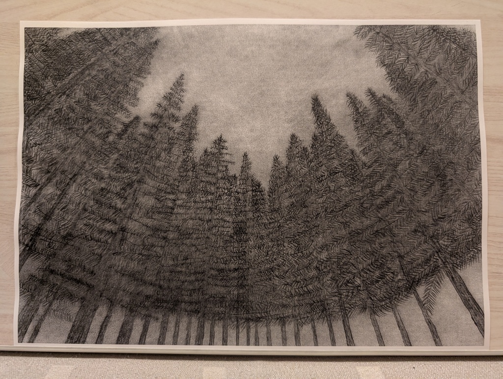 夜　針葉樹林02