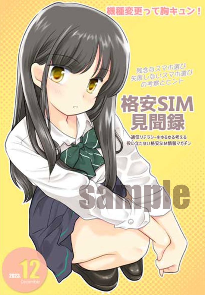 格安SIM見聞録