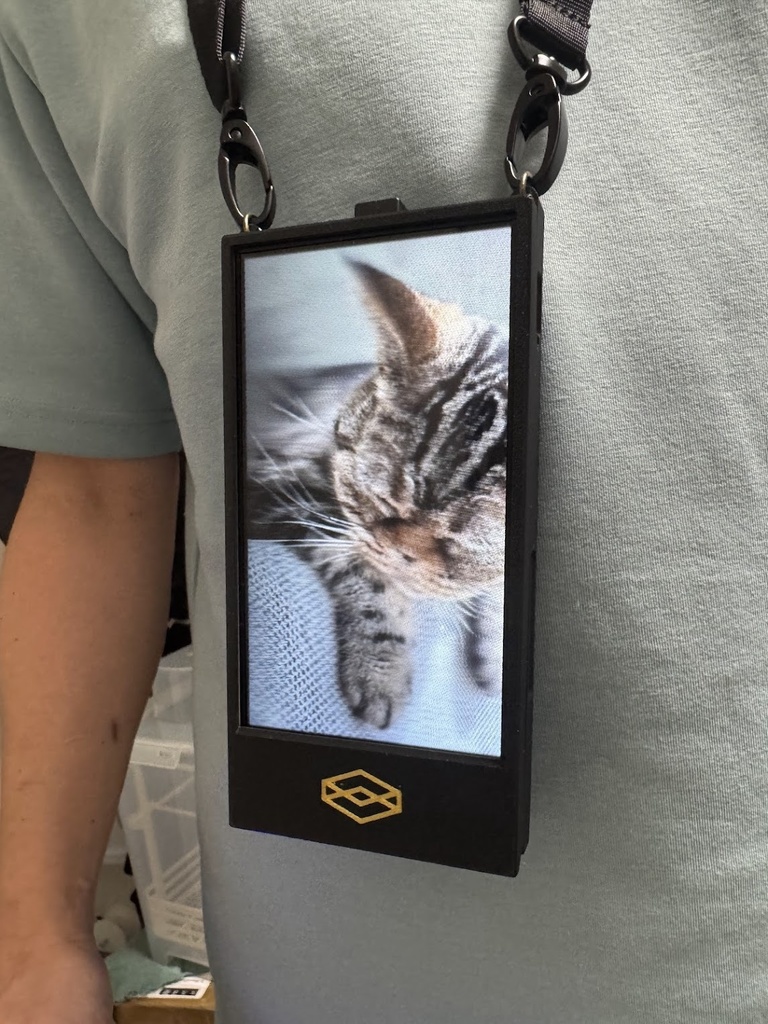 Looking Glass GO ケース