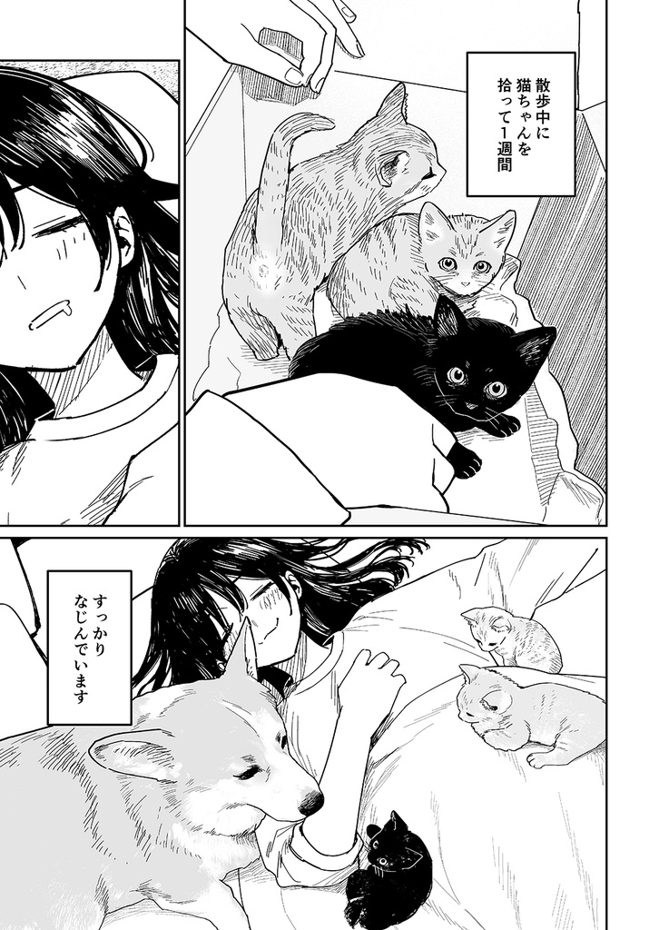 女の子と猫と犬の日常①