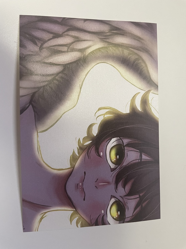 ポストカードセット