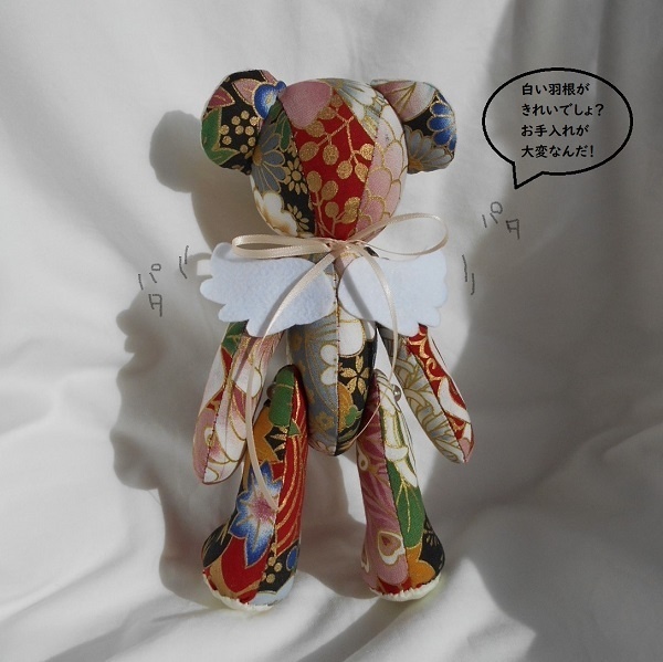 【お迎えがありました!】きくりさん(赤)