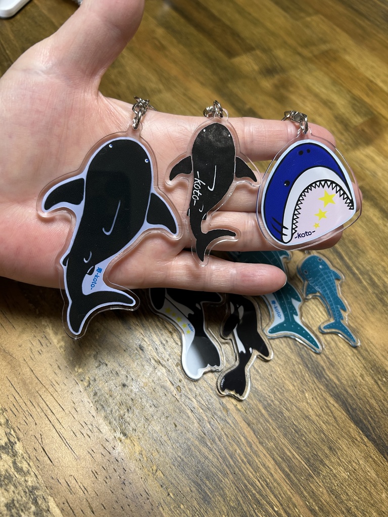 ホオジロザメさん 縁取り