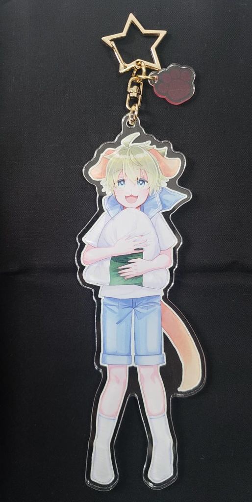 けもしょた ドラスタアクキー