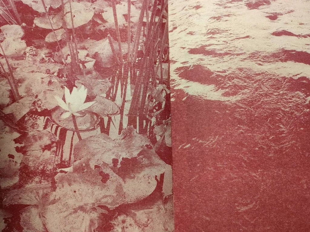 【ZINE版】黒目川・クロメくん・雑草