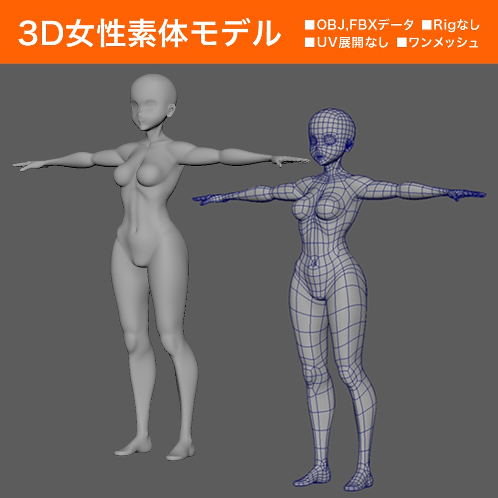 3DCG 女性素体モデル