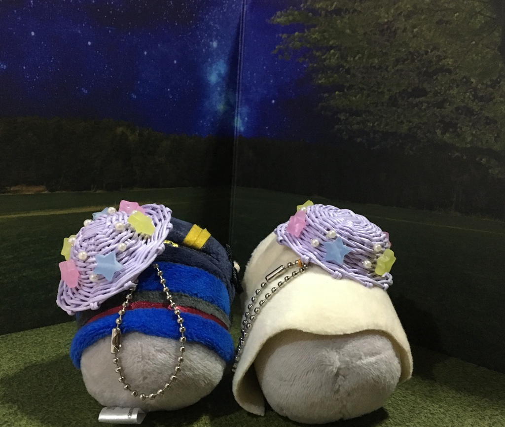 カンカン帽子(お星さま)