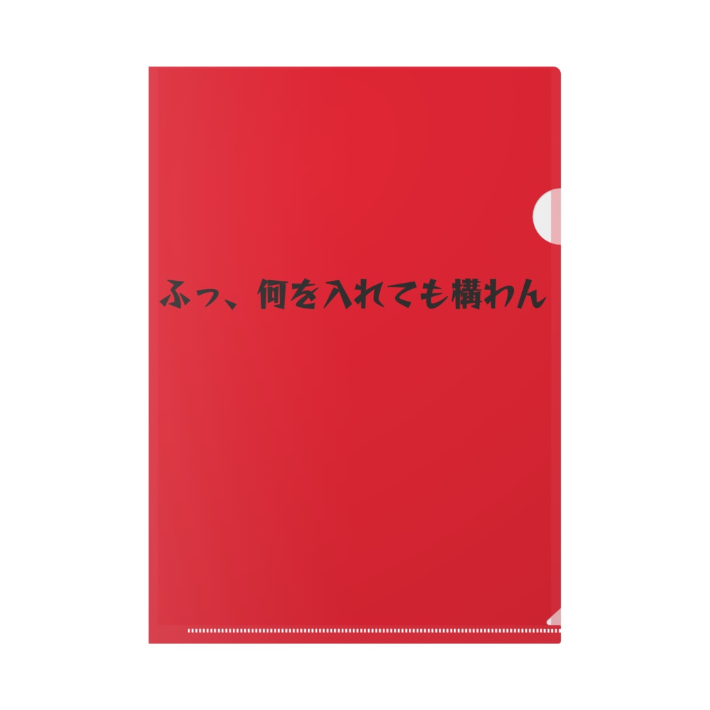 ふっ、何を入れても構わんクリアファイル