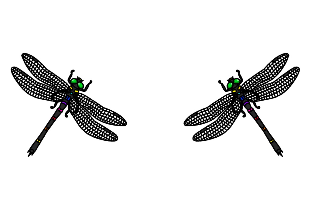 オニヤンマくんラグランTシャツブラック&ホワイト