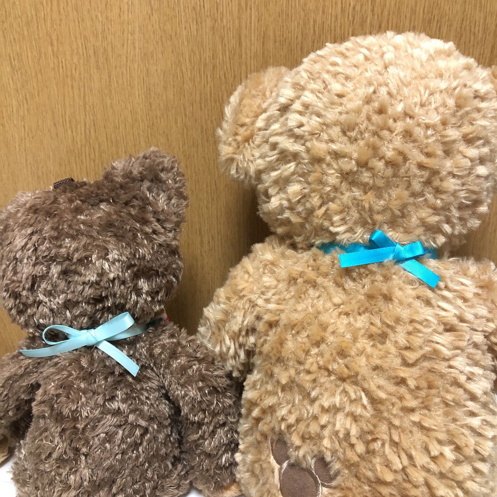 ぬいちゃん用くまチョコリボン