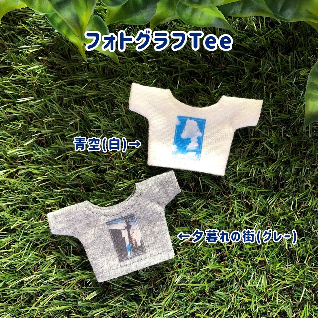 夏のTシャツcollection