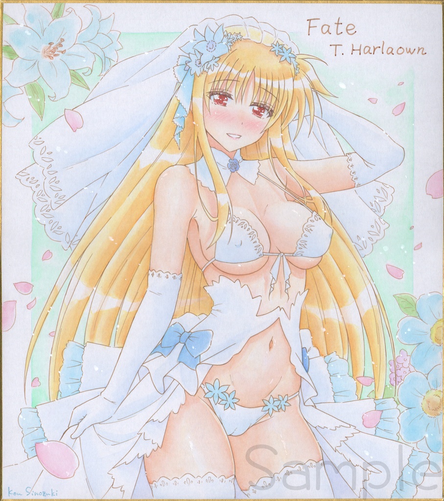 同人 イラスト色紙(フェイト)