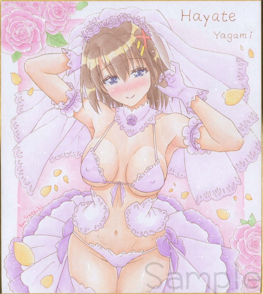 同人 イラスト色紙(はやて)