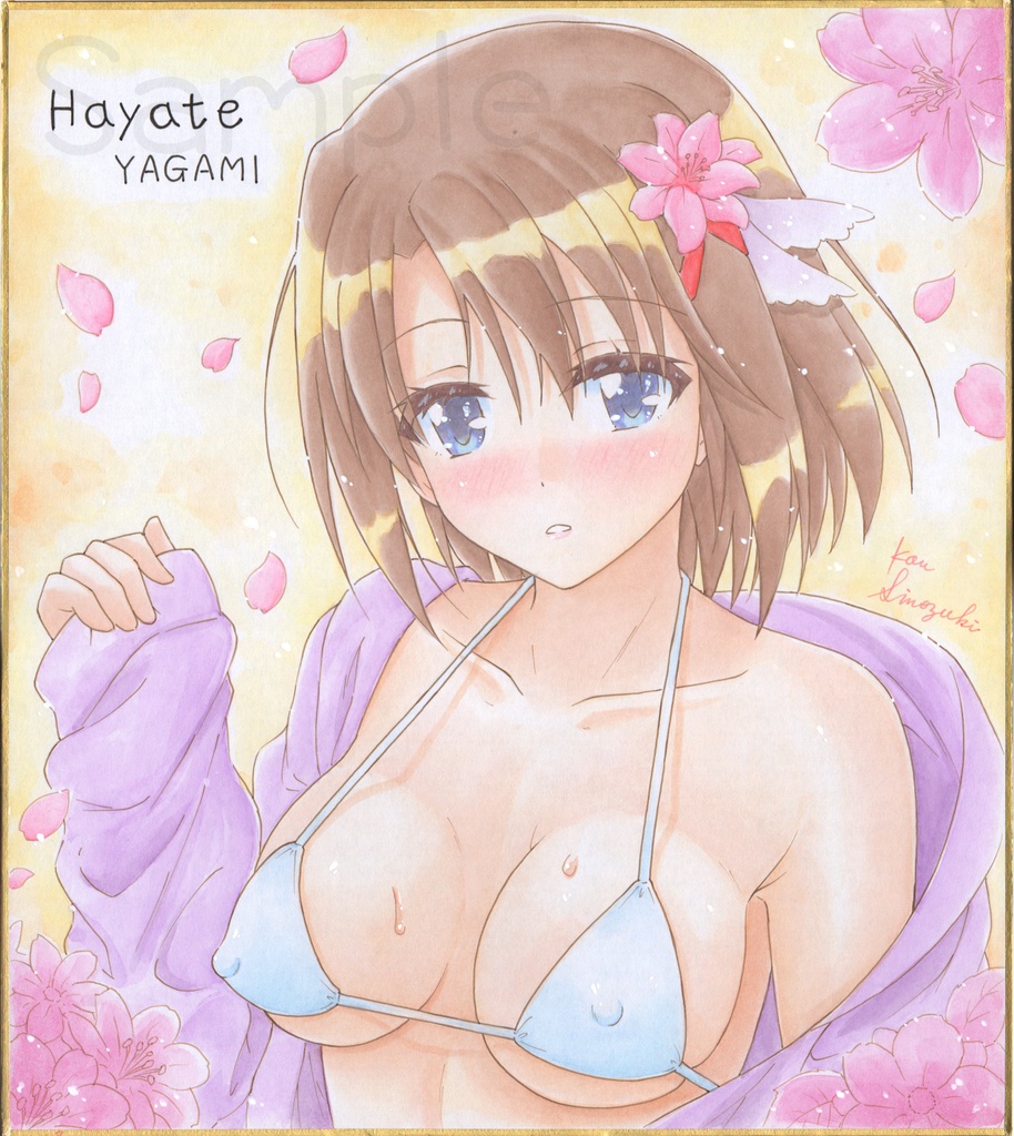 同人 イラスト色紙(はやてちゃん)